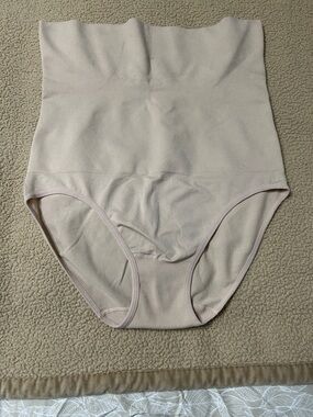 Dreamwear- High-Waist Shaping Briefs in Light beige 2X.